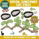 Sunflower Life Cycle Dough Clipart, Play Dough Mats, Summer Science Sequencing