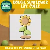 Sunflower Life Cycle Dough Clipart, Play Dough Mats, Summer Science Sequencing