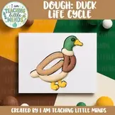 Duck Life Cycle Dough Clipart, Play Dough Mats, Summer Science Sequencing
